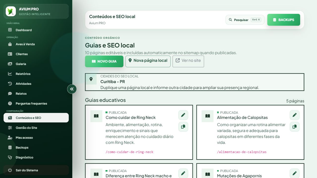 Lista real de guias educativos e páginas de SEO local