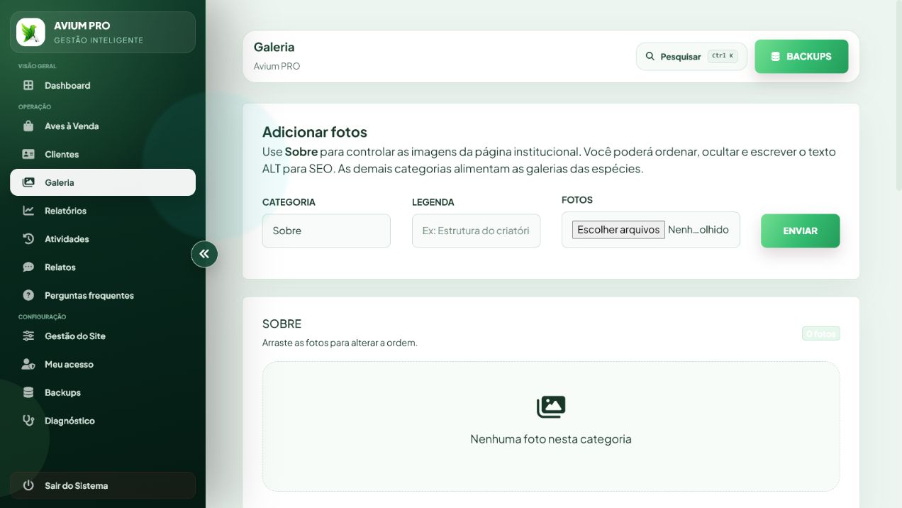 Tela real de envio e organização da galeria
